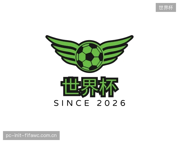 关于世界杯公司